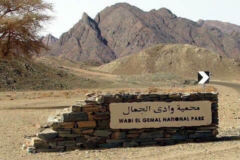 Wadi El Gemal National Park Half-Day Desert Trek from Marsa Alam