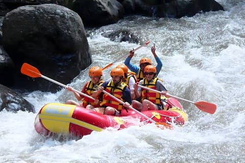 Bali Ayung River Rafting och Bali Quad Bike-paket