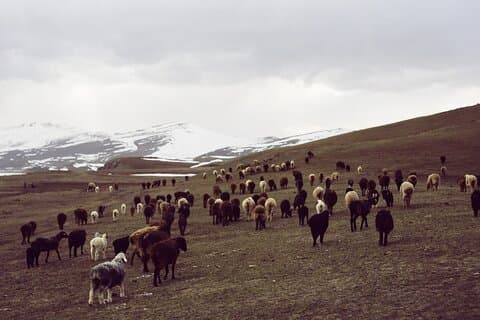 10 dagars Nomad Horseback Tour Trekking till Song-Kul