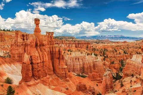 Explorez Bryce Canyon : visite privée d'une journée au départ de Salt Lake City
