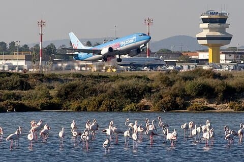 Private Transfer from Faro Airport to Albufeira
