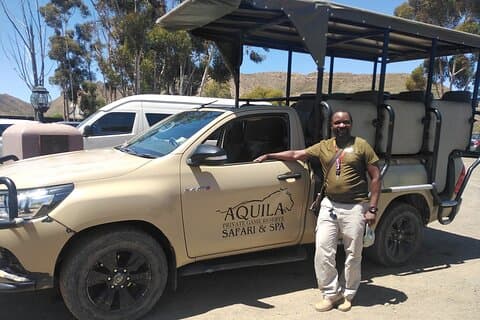 Aquila Big Five Safari i nærheten av Cape Town (med valgfri vinsmaking)