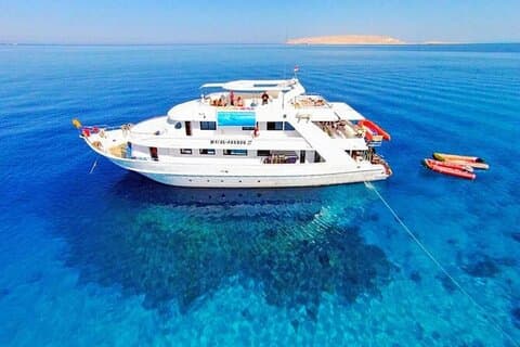 Privat luksus båttur til Ras Mohamed og White Island