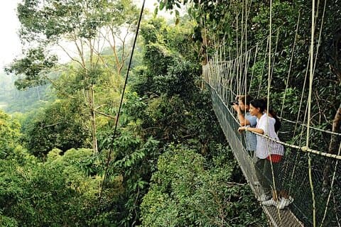 Excursión de un día a Taman Negara desde Kuala Lumpur