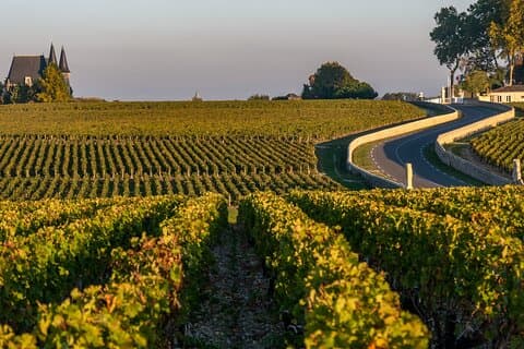 Privat Médoc Region-vinturopplevelse fra Bordeaux