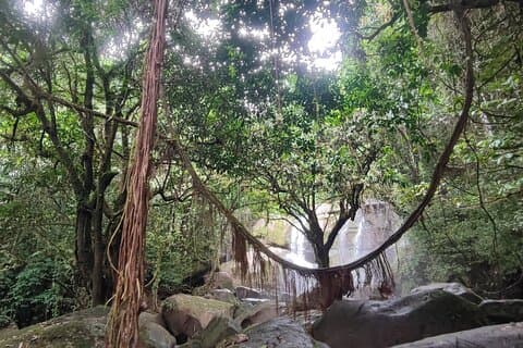 Tesouros Nativos de Bornéu Cultura e Natureza