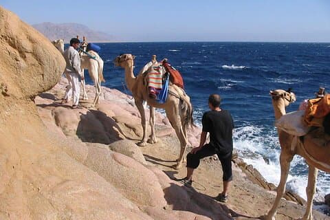Camel Trek Desert and Beach Experience Private Tour in Dahab