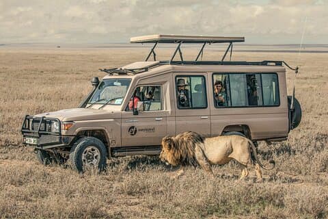 Rencontres avec la faune en Tanzanie - 6 jours
