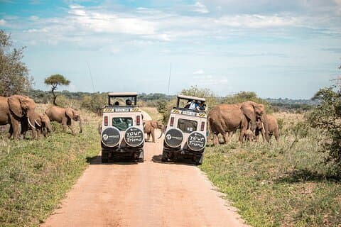 Safari Tanzanie Simba de 5 jours