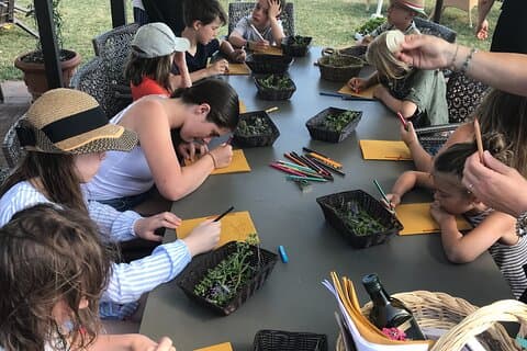 Laboratoire de plantes médicinales pour enfants