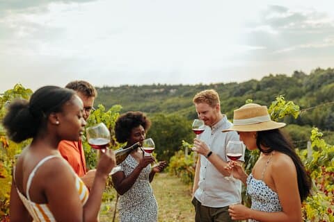 Sorseggia e assapora: tour enologico privato della Yarra Valley da Melbourne