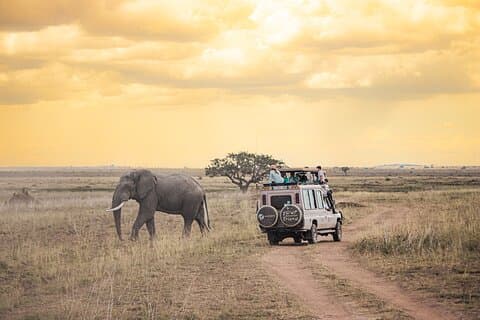 Tanzanie classique - 7 jours