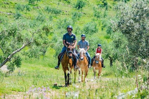 Ruta a caballo y aperitivo 2 horas para principiantes.