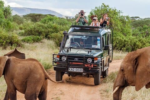 Safari di 7 giorni: Taita Hill, Amboseli, Tsavo ovest e est - Mombasa
