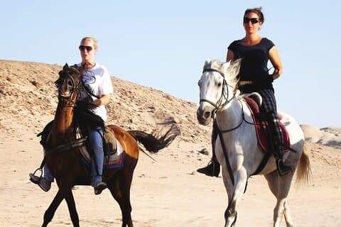 Hurghada Arabische woestijn en zeepaardavontuur