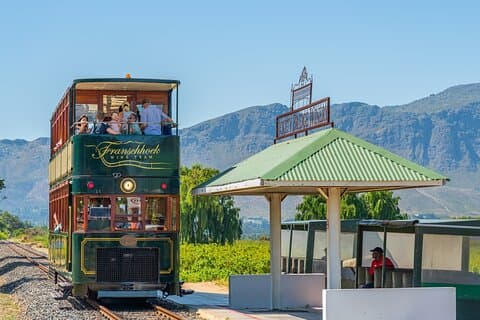 Excursion d'une journée sur la Route des vins au Cap