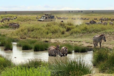 Big Five Luxury 7 Days Safari Tour in Arusha