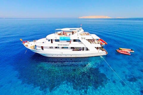 Escursione di un'intera giornata all'Isola Paradiso con snorkeling incluso