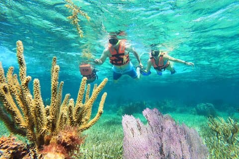 Increíble experiencia de snorkel + verdaderos tacos mexicanos