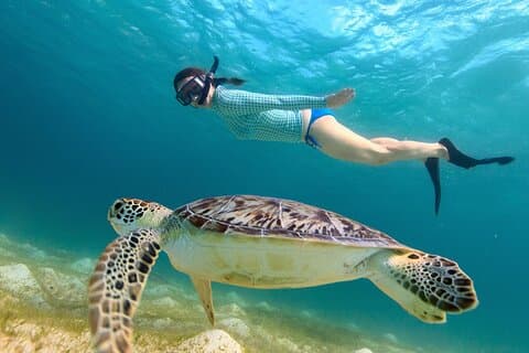 Snorkeling per tartarughe Naviga su Buck Island da Frenchman's Reef
