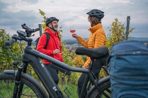 Excursion d'une journée complète sur la route des vins en vélo électrique au Cap