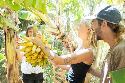 Maui Farm to Taco: A Farm to Table Cooking Class