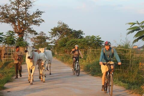 Silk Island at Twilight Cycle Encounter