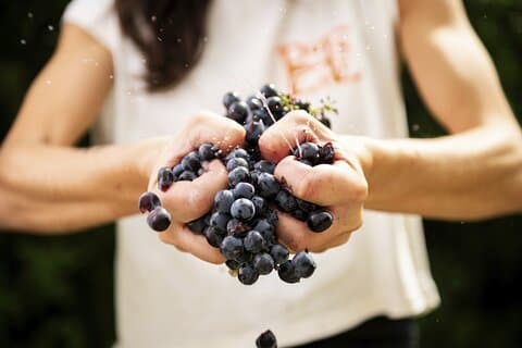 3-Hour Private Food and Wine Experience in Montalcino