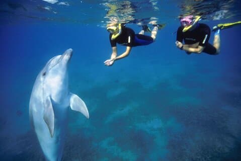 Aventure de plongée en apnée à Hurghada : excursion d'une journée sur l'île Giftoun