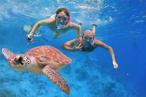 Full Day Diving Experience in Safaga, Red Sea