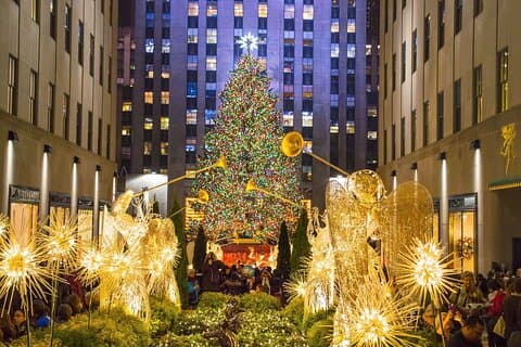 ニューヨーク市のプライベート クリスマス ライト馬車ツアー