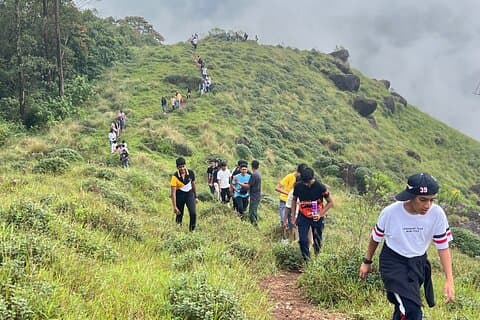 Tea Plantation, Grass Land and Mountain Hiking in Munnar