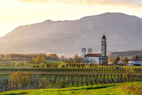 Vipava Valley Wine Express Tour från Ljubljana