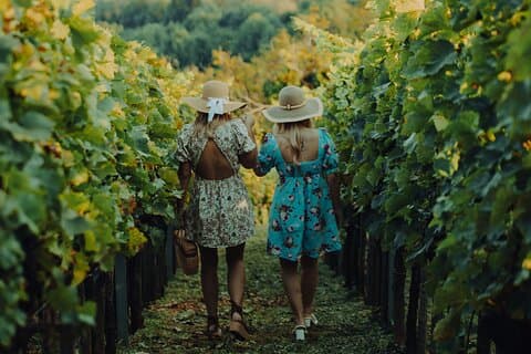 Private hedonistic food and wine experience from Zagreb