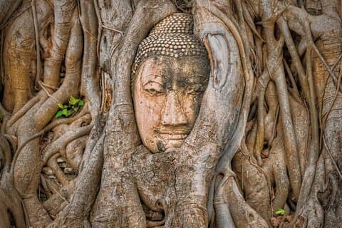 Ayutthaya Sunset Join Tour, boottocht, beroemde plek en lokale markt