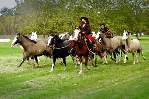 Gaucho-dagtour La Candelaria Estancia vanuit Buenos Aires
