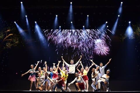 Charmerende Da Nang Show Billet i Da Nang