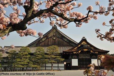 Kyoto 1 Day Tour from Osaka