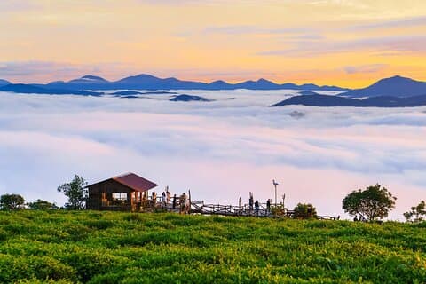 Cloud Hunting - Experience Dalat Special Products