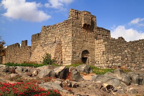 Full Day Private Tour 5 Desert Castles of Jordan from Amman