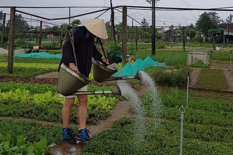 Experience Biking, Basket Boat Ride,Cooking Class In Tra Que