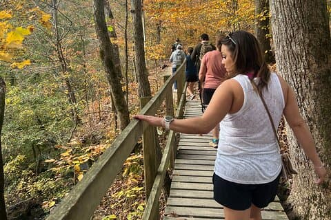 Waterfall Wonders Hiking Tour with Brewery Stop from Nashville