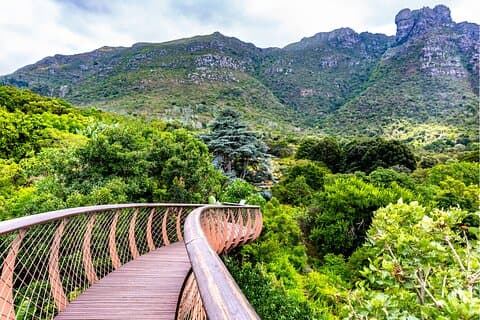 Kirstenbosch och Table Mountain Tour
