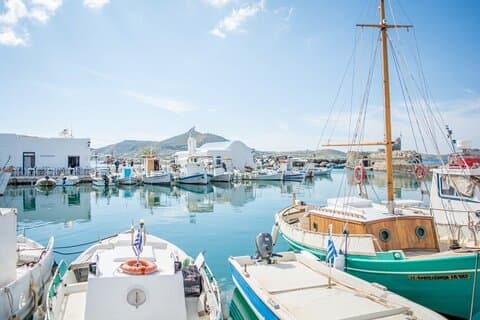 Verken Paros & Antiparos : dagtour in het Frans met lunch