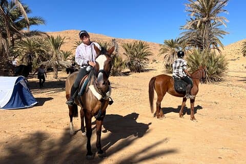 The authentic Tozeur on horseback with private transfer