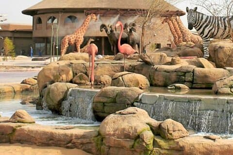 Biljett till Dubai Safari Park