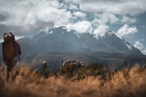 Vandring ved foden af Kilimanjaro