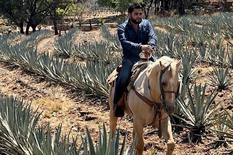 Visita al Tequila y Cabalgata entre el Paisaje Agavero