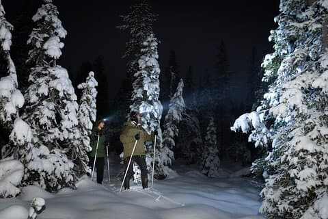 Abendlicher Skiausflug in die Wildnis - Extra kleine Gruppe