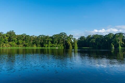 Tortuguero : Excursion en canoë + Visite de la colline + Randonnée pédestre